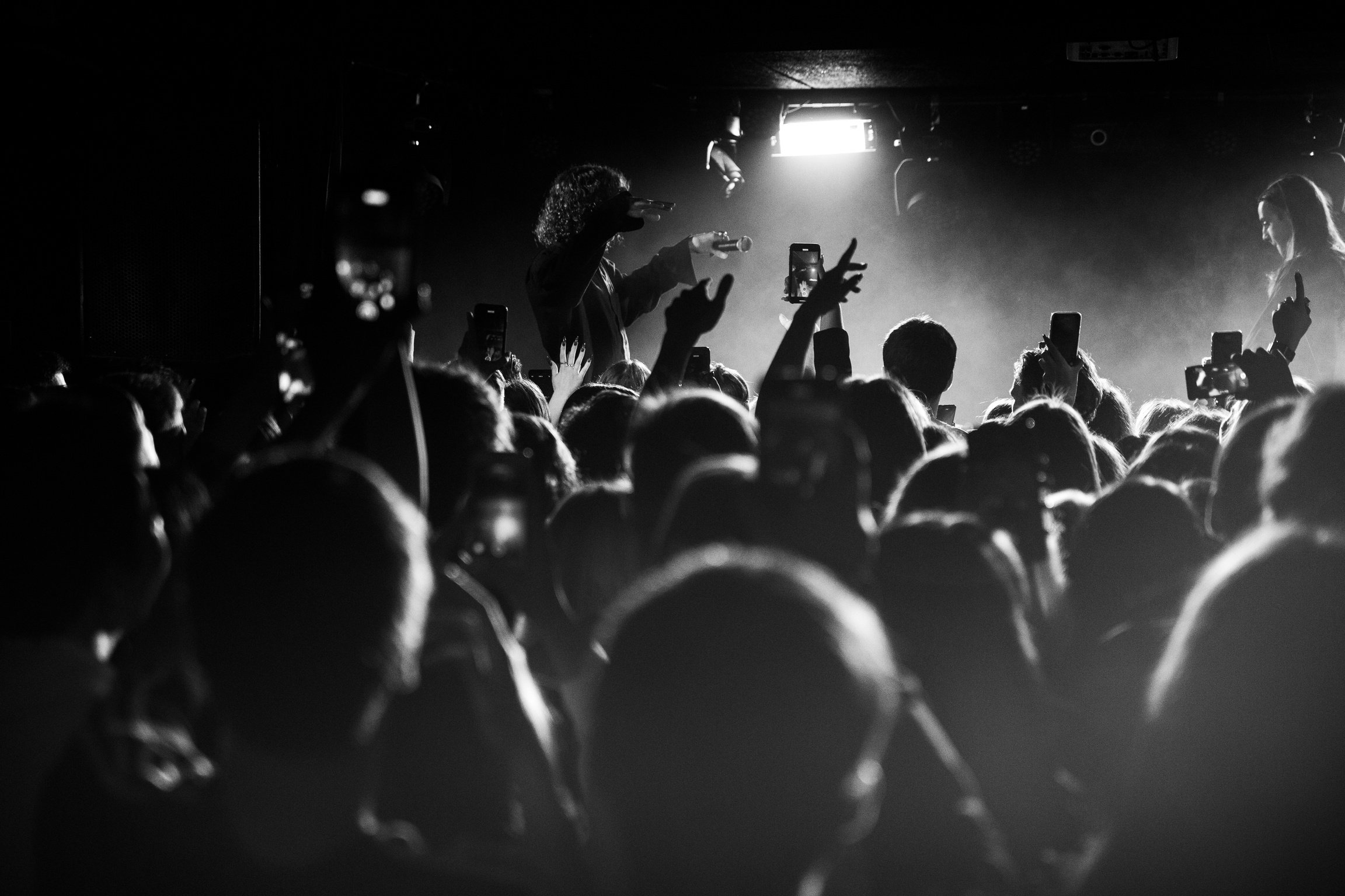 Group of People at a Concert